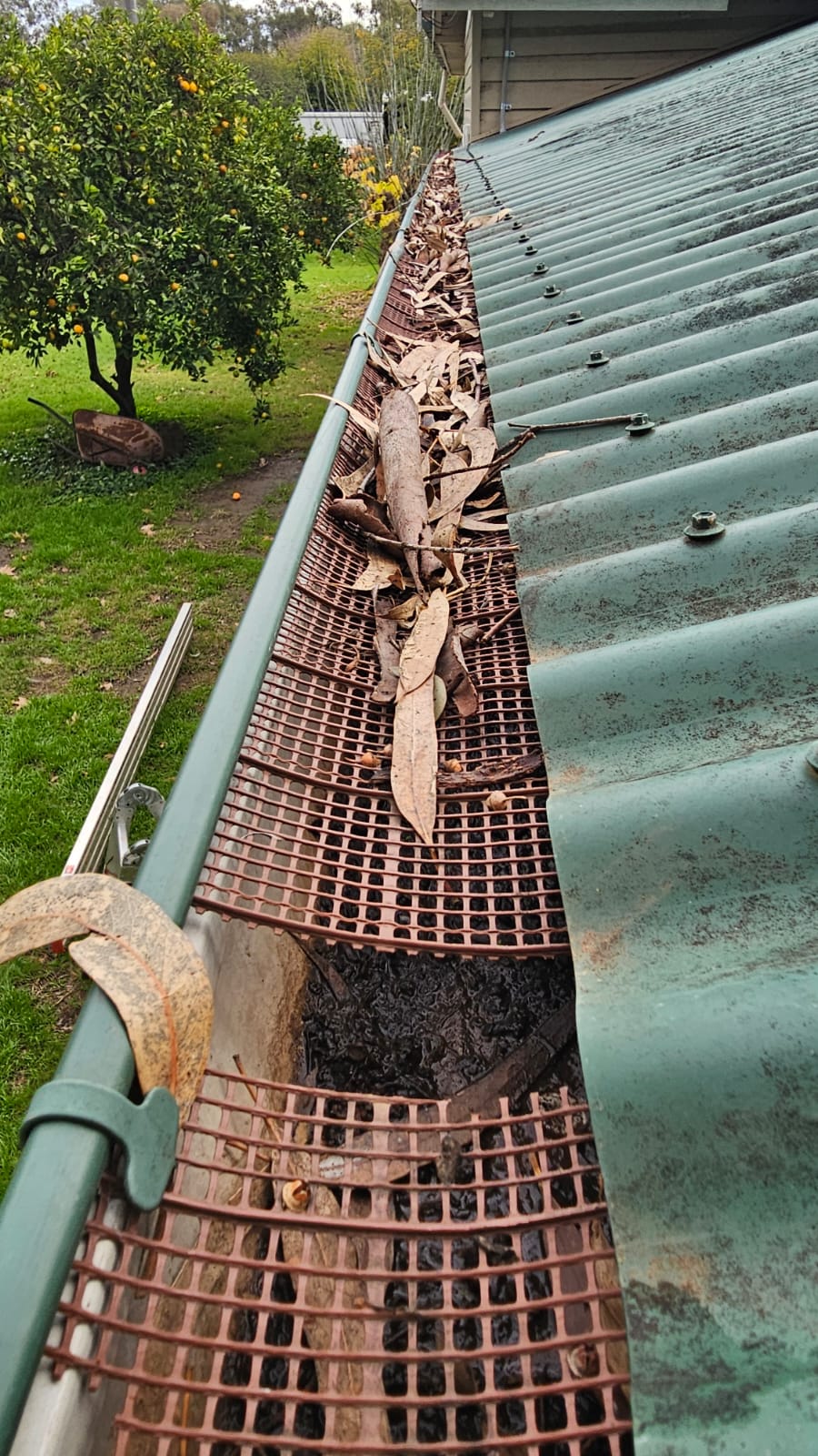 Brittle collapsed plastic mesh filled with dry leaves
